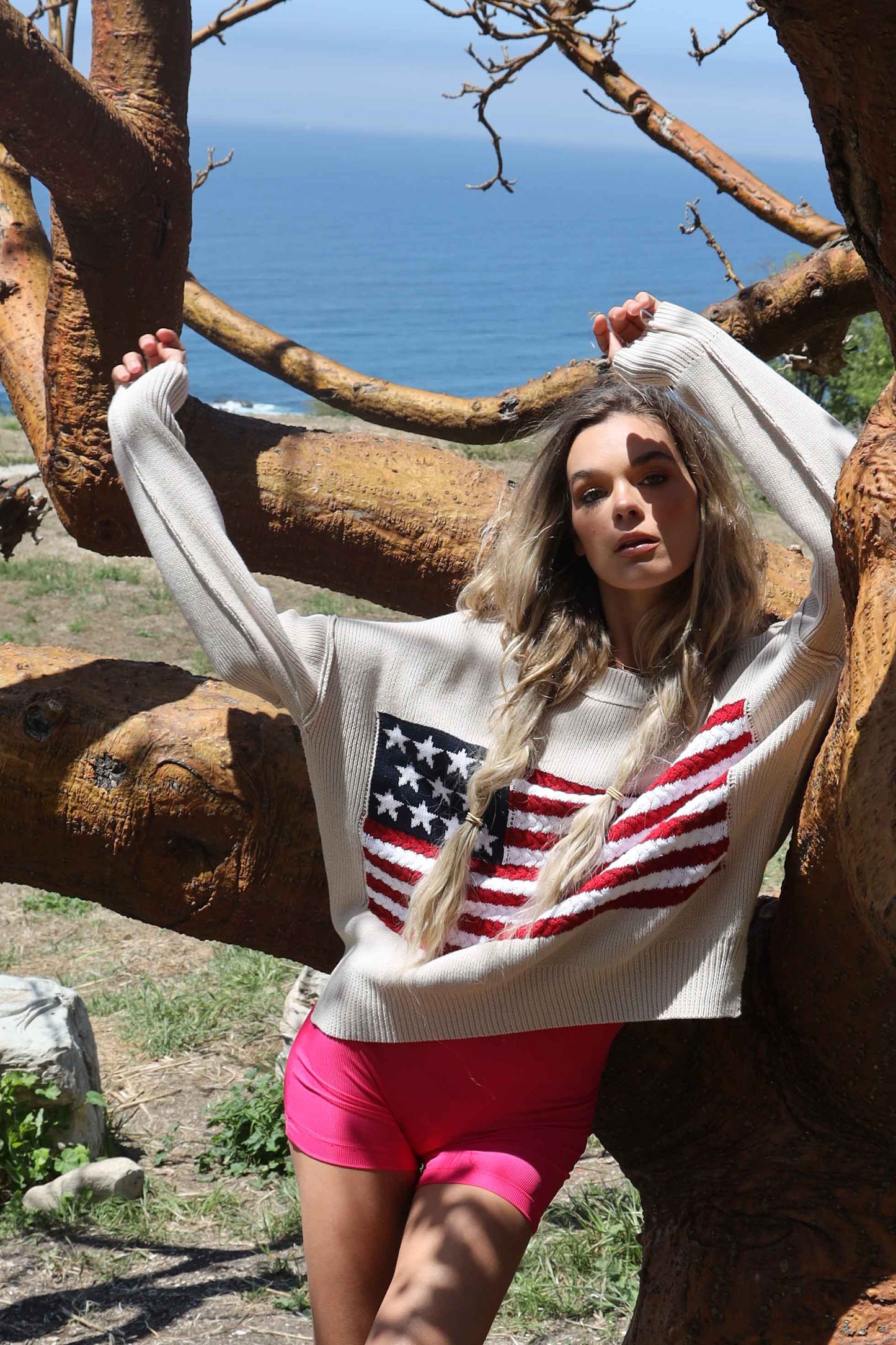 Elize American Flag Cotton Knit Sweater