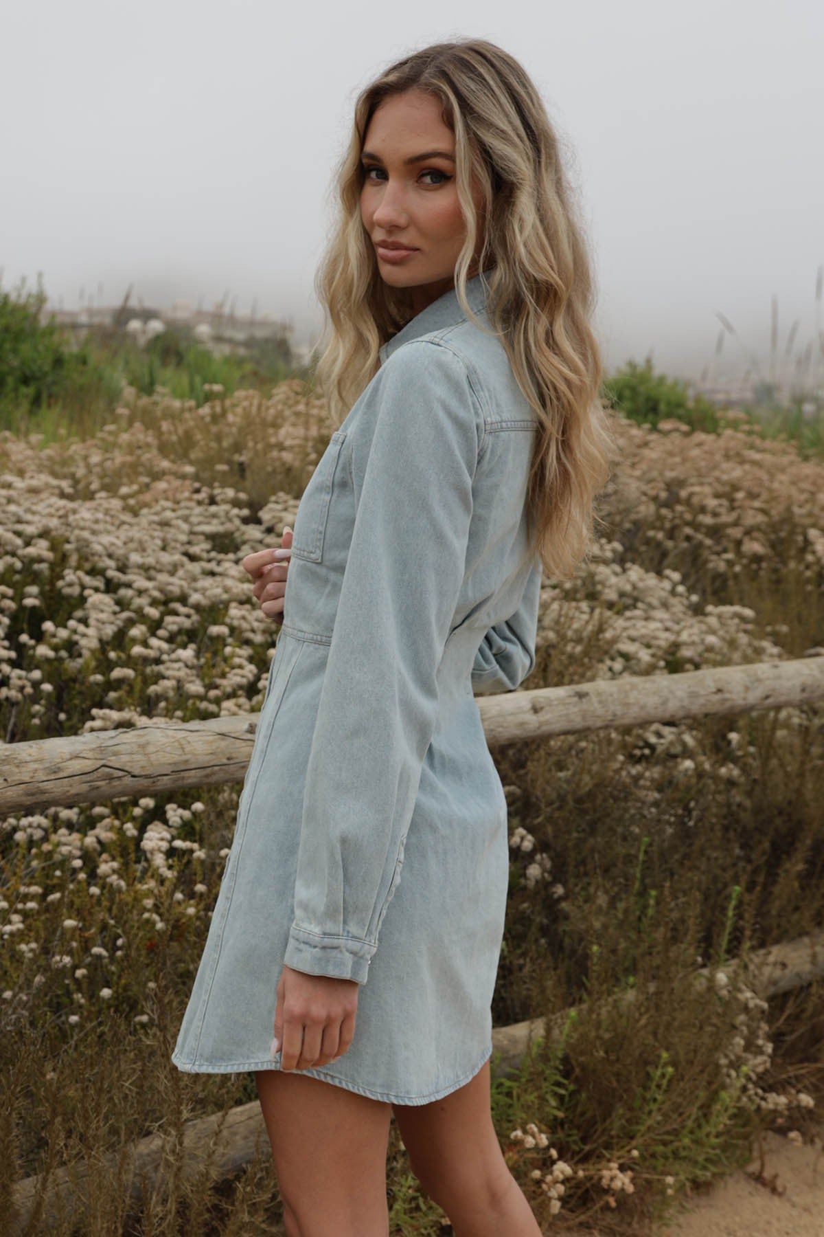 Penelope Denim Dress