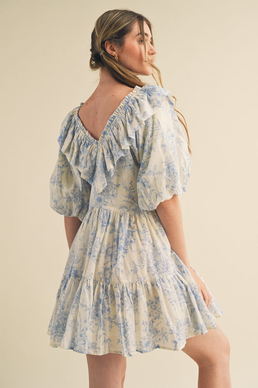 Pastel Antique Garden Party Ruffle Dress