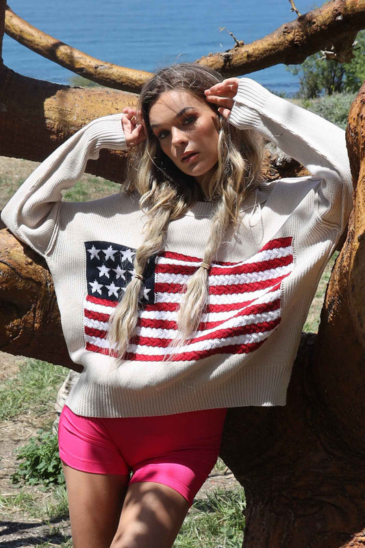 Elize American Flag Cotton Knit Sweater