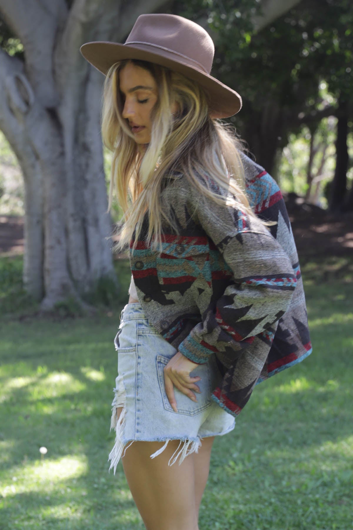 Andria Aztec Print Jacket